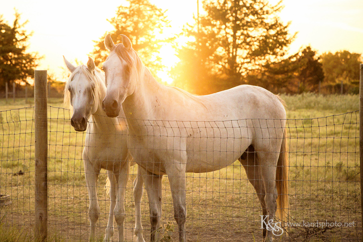 K&S Photography-32 dallas wedding photographer